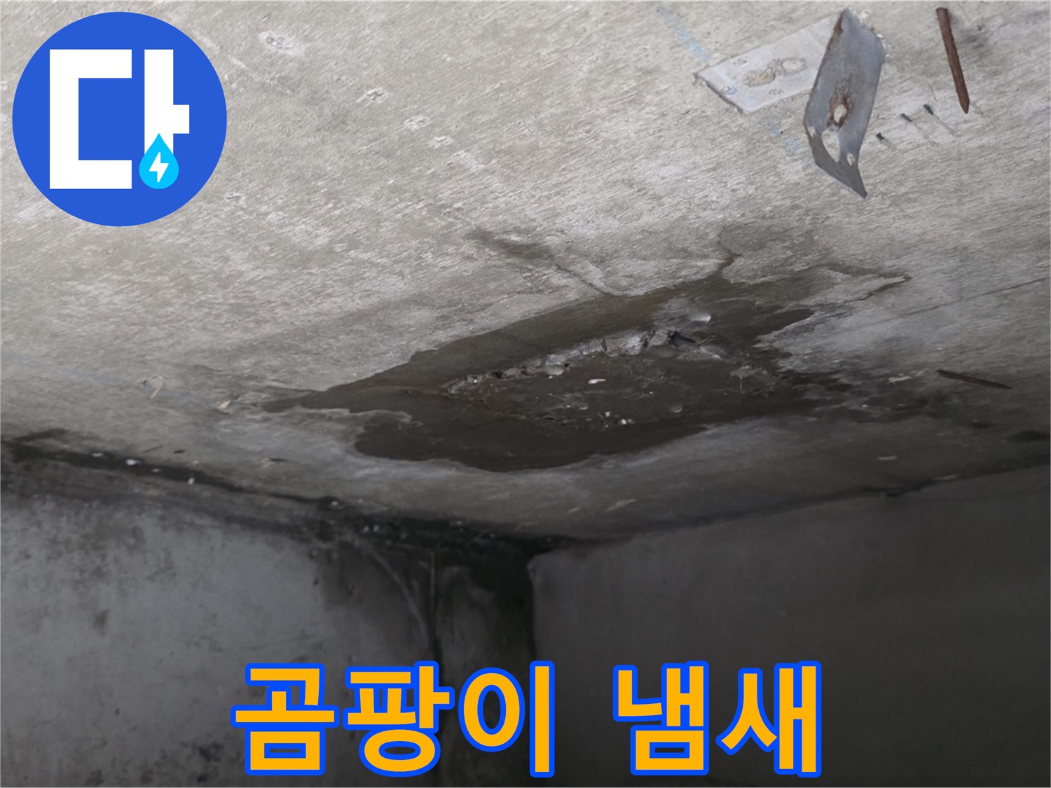 곰팡이 냄새 진동하는 콘크리트 천장 - 남양주 오남 누수