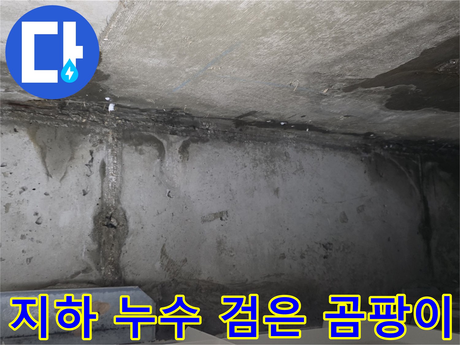 남양주 건물 지하 누수 - 검은 곰팡이