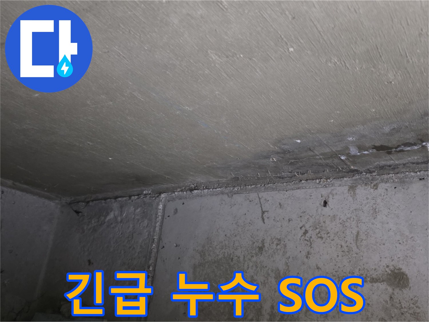 남양주 오남 누수 긴급 출동 - 벽 곰팡이 해결