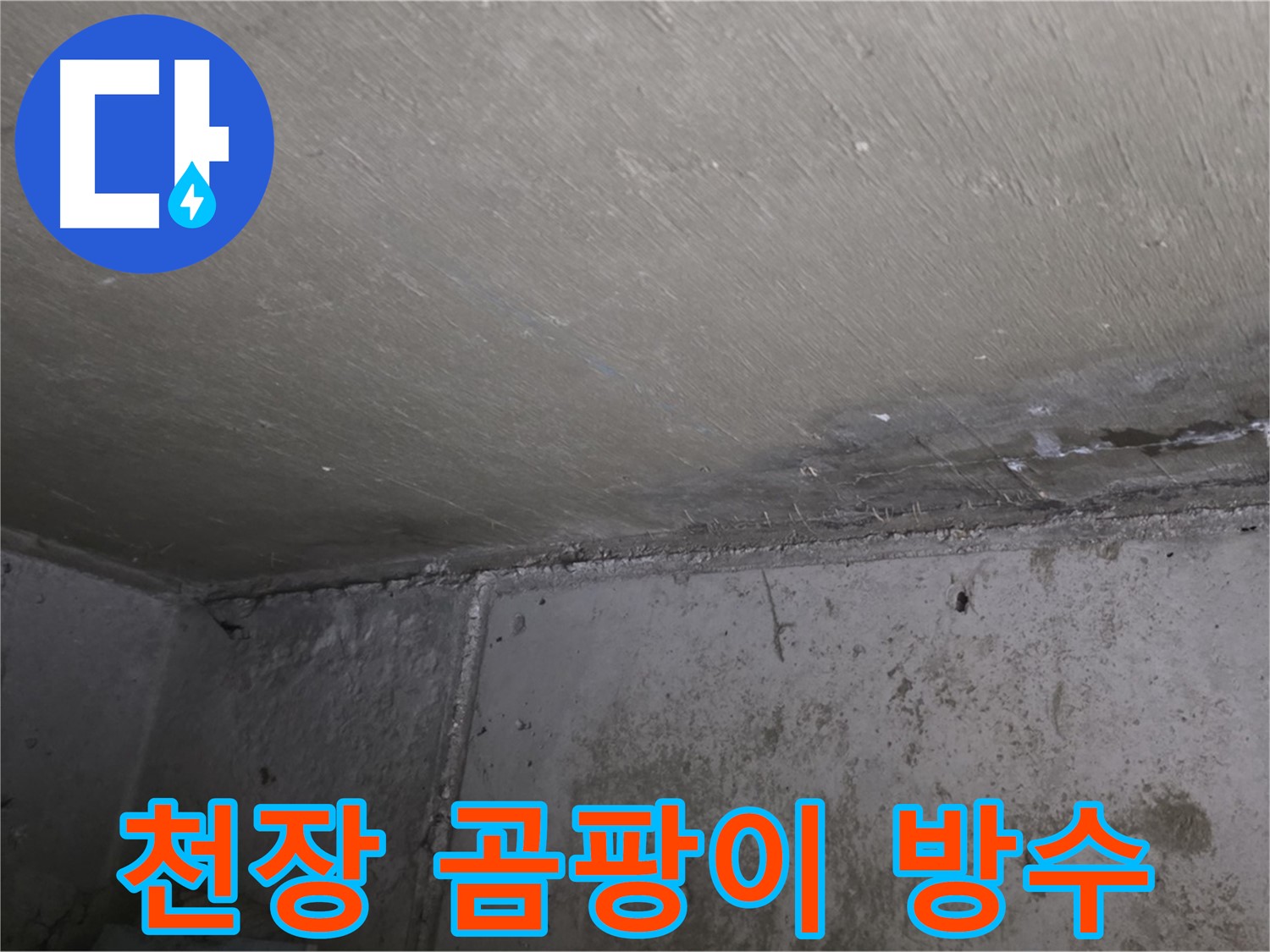 남양주 오남 두산아파트 천장 곰팡이 - 건강 위협