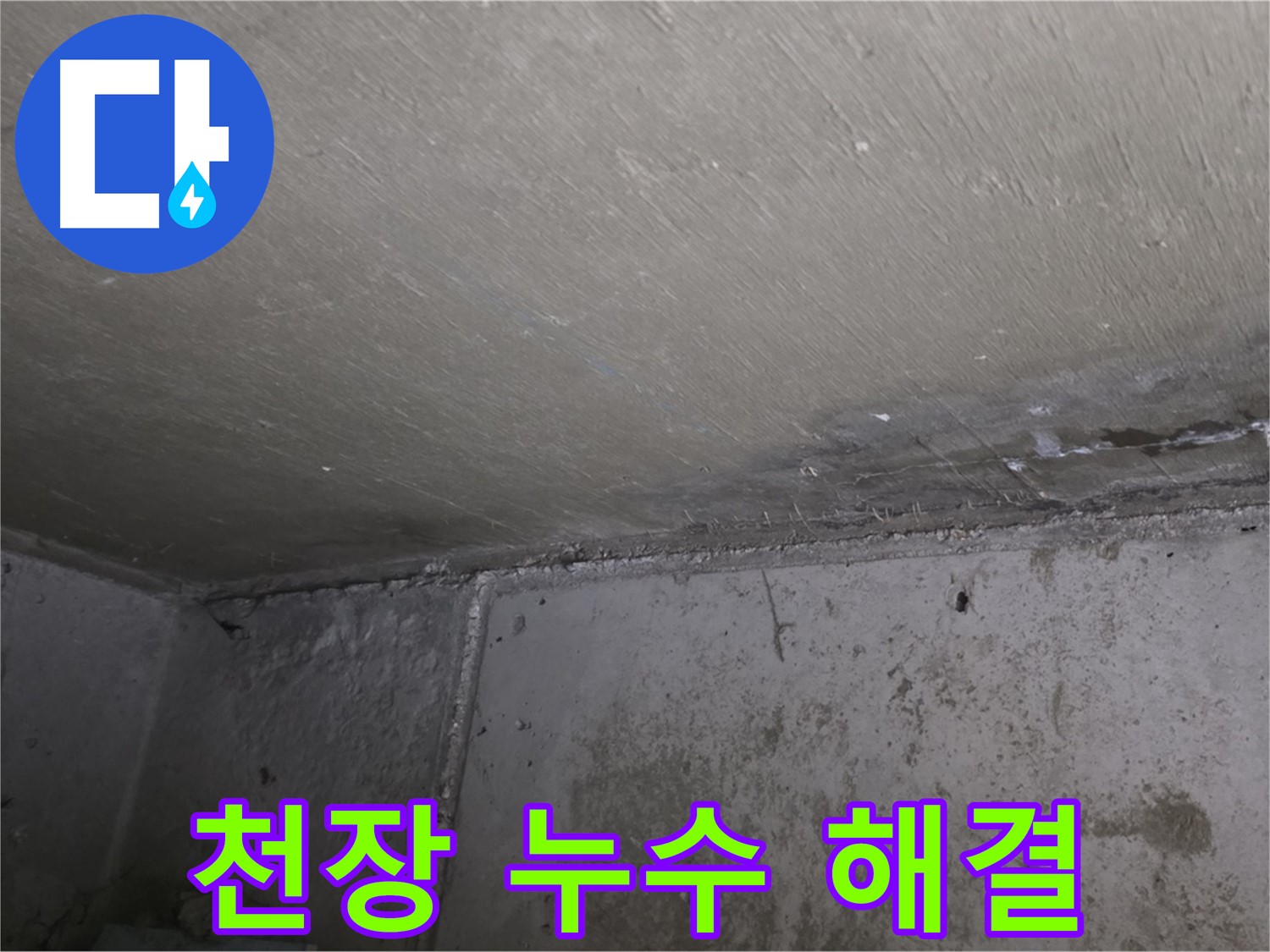 남양주 오남리 두산아파트 천장 누수 - 곰팡이 문제 해결