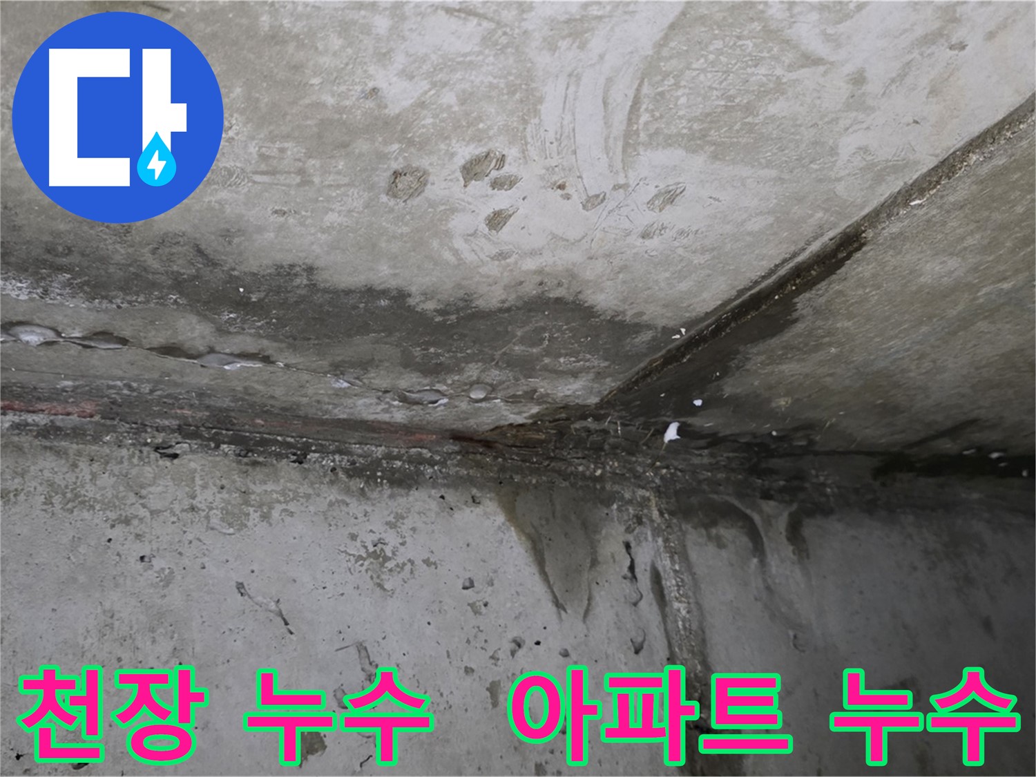 남양주 오남읍 두산아파트 천장 누수 - 누수 원인 파악 및 해결 과정