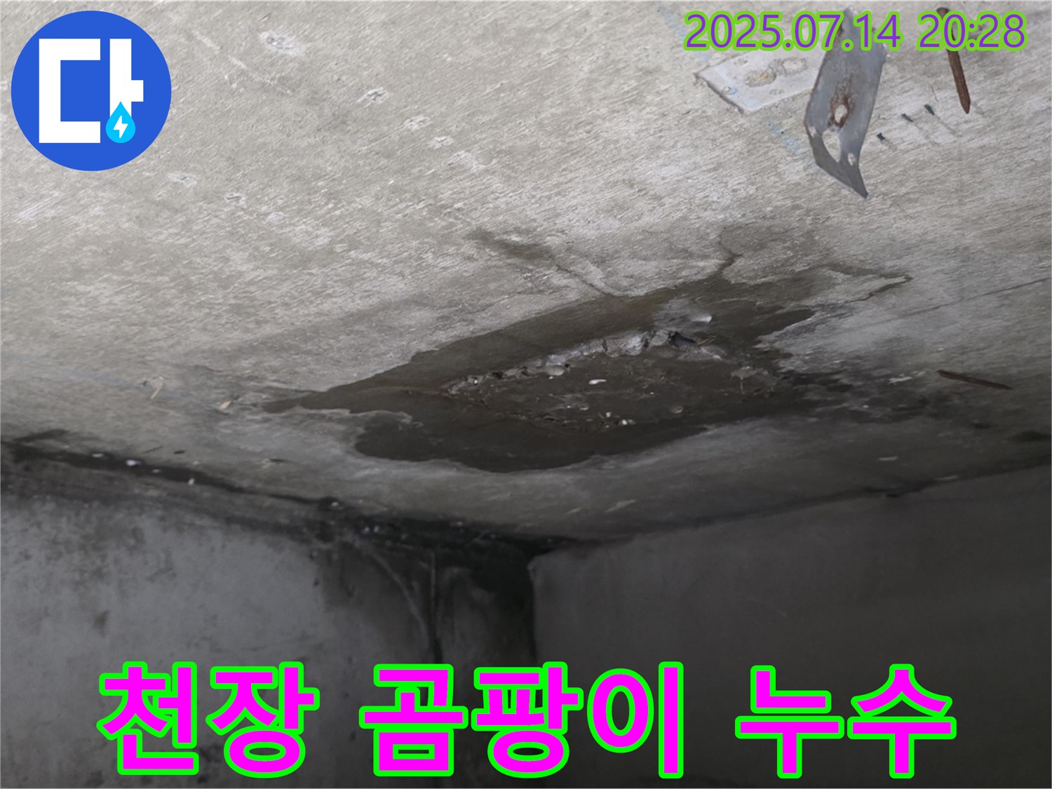남양주시 오남읍 두산아파트 누수 - 콘크리트 천장 누수 지점 주변에 발생한 곰팡이