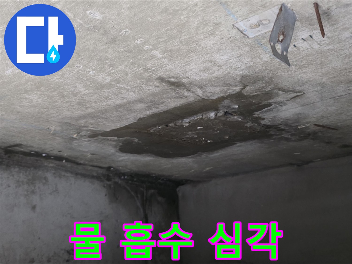 심각한 콘크리트 물 흡수 - 남양주 오남 누수