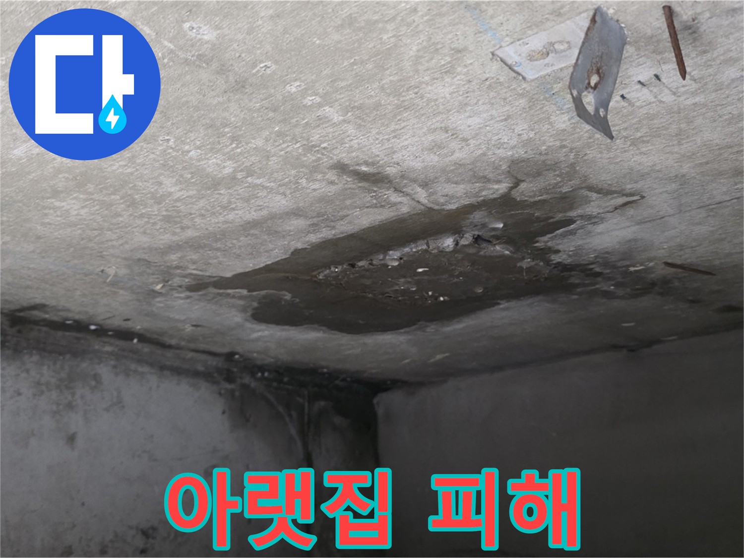 아래층 화장실 누수 피해 - 천장과 벽 얼룩