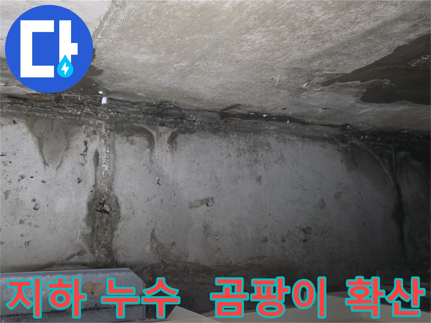 오남 두산아파트 지하 누수 - 곰팡이 확산