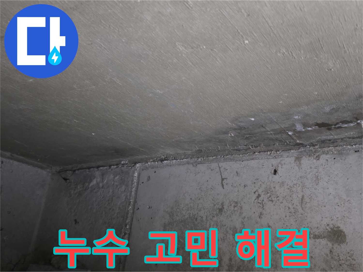 오남 두산아파트 천장 곰팡이 고민 해결