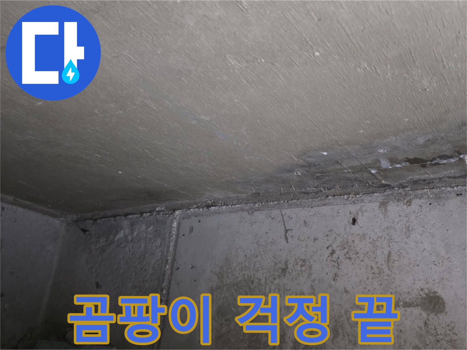 오남읍 두산아파트 천장 곰팡이 - 누수 탐지 및 공사로 해결