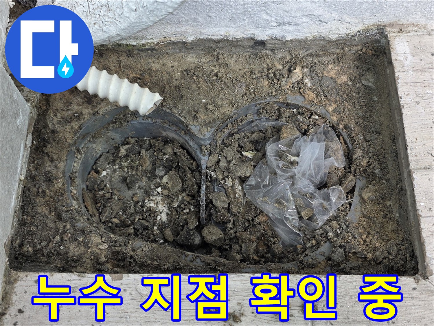 노원구 중계동 청구3차 아파트에서 누수 지점을 확인하고 있습니다 - 누수 전문가가 정확한 위치를 찾아 완벽하게 해결합니다.