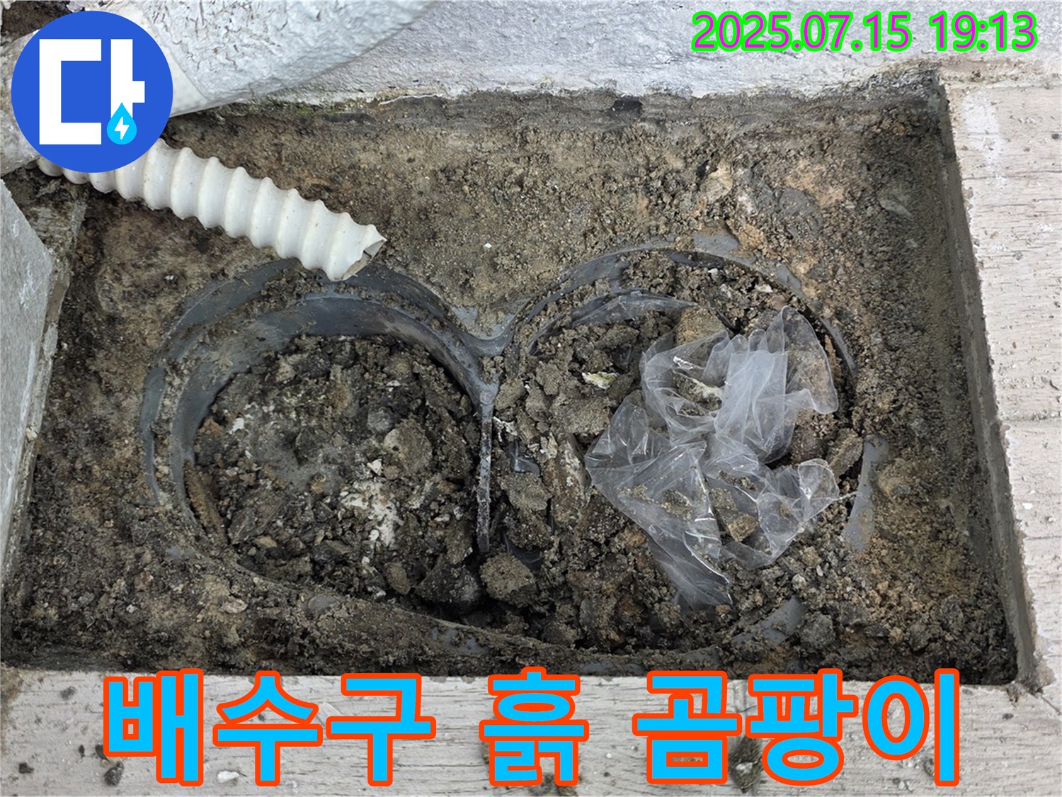 중계3동 청구3차 아파트 베란다 배수구 - 흙과 함께 곰팡이까지, 건강 위협