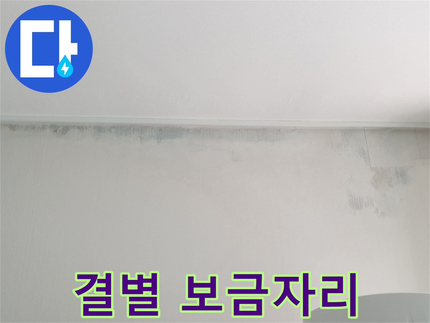 중계동 아파트 곰팡이 - 결별 쾌적한 보금자리