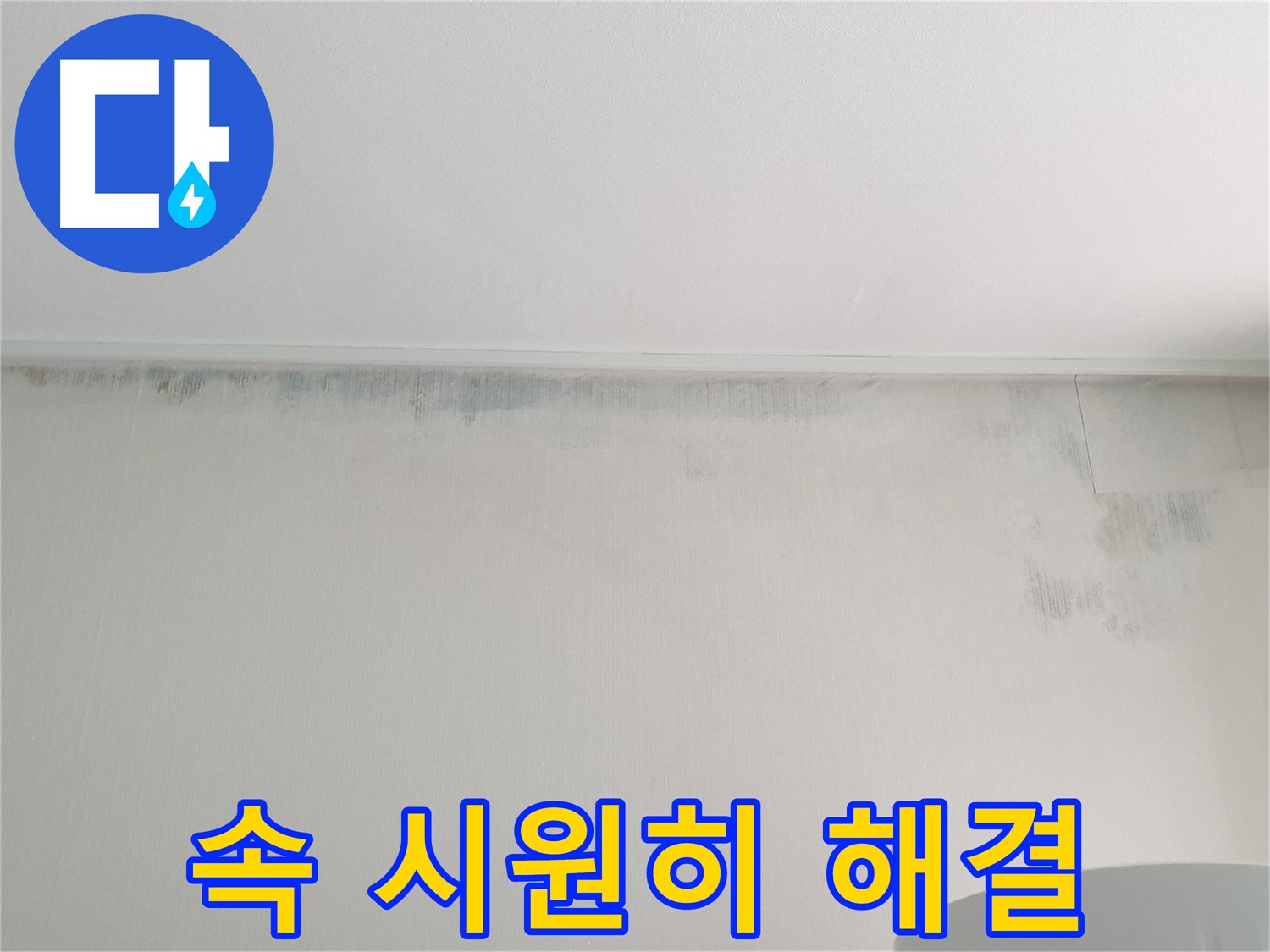 중계동 아파트 벽 곰팡이 - 누수 문제 속 시원히 해결
