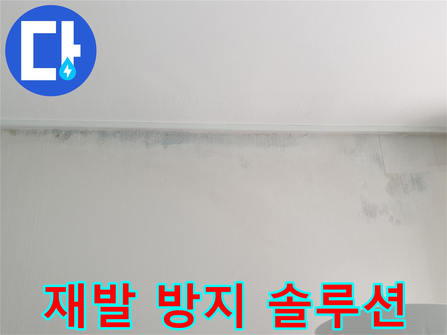 중계동 아파트 벽 곰팡이 - 완벽 제거 및 재발 방지 솔루션