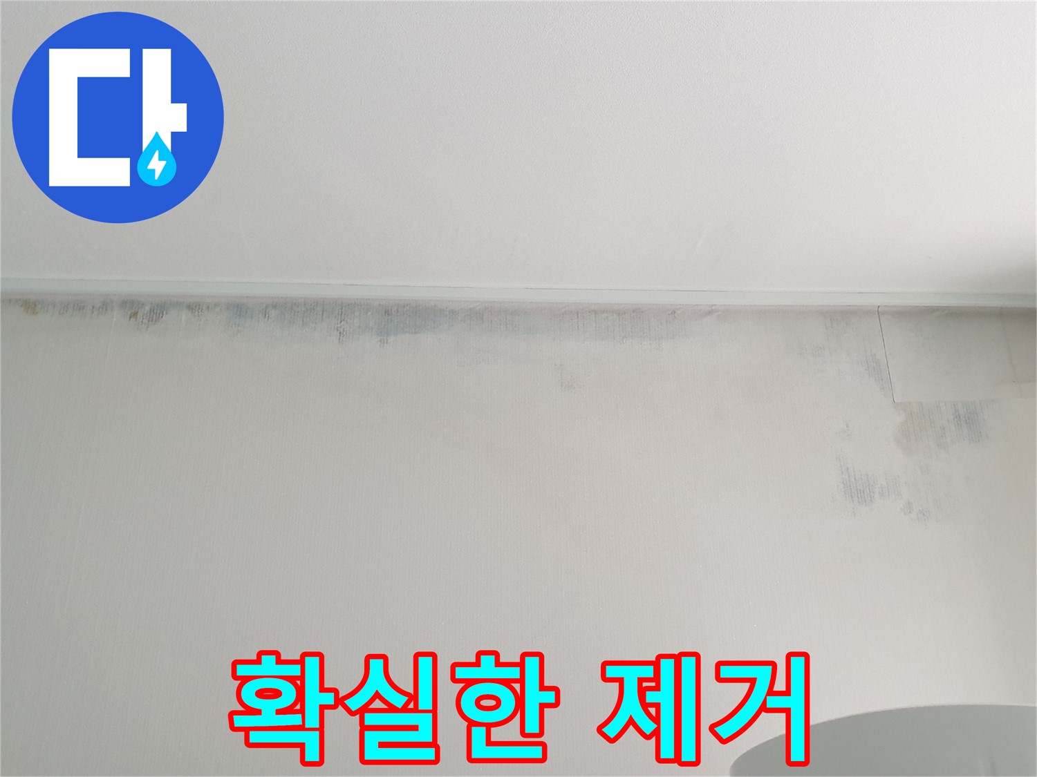 중계동 아파트 벽 곰팡이 - 확실한 제거와 재발 방지 약속