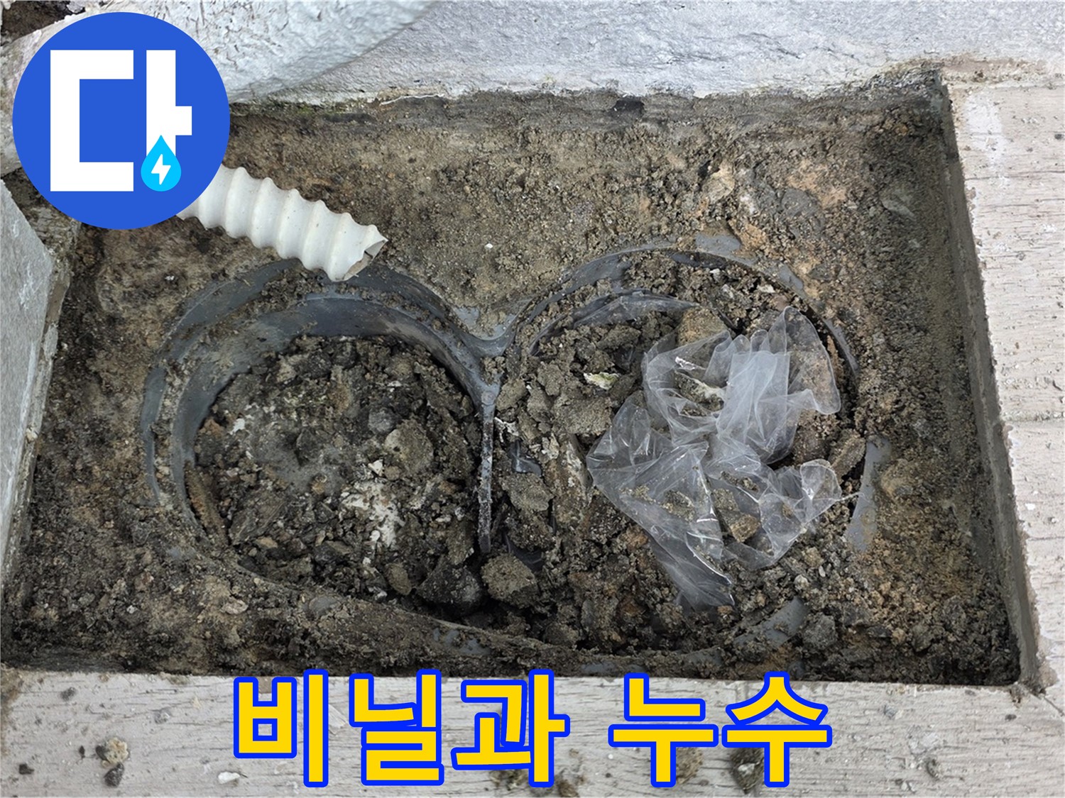 중계동 청구3차 아파트 누수 - 배수구 속 비닐, 누수의 주범일까?
