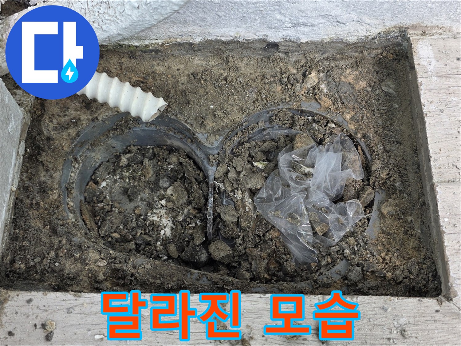 중계동 청구3차 아파트 누수 - 배수구 청소 전후, 확연히 달라진 모습!