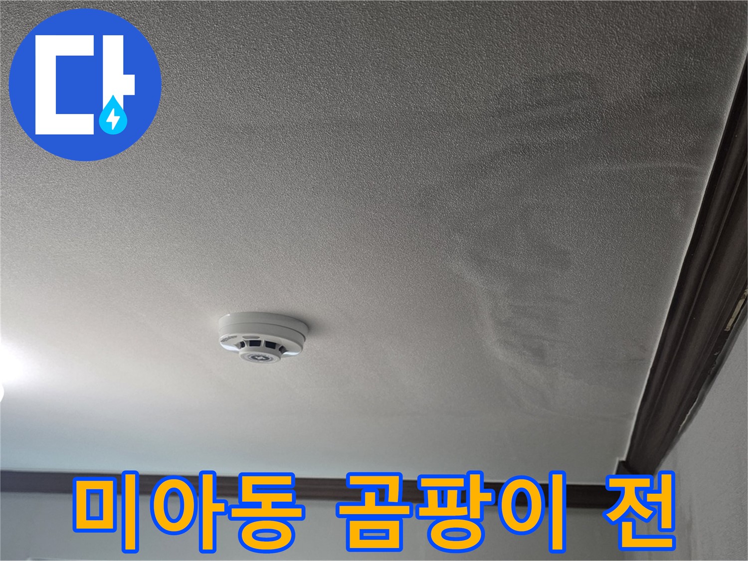 미아동 누수 - 젖은 천장, 곰팡이 발생 전에 전문가에게 맡기세요
