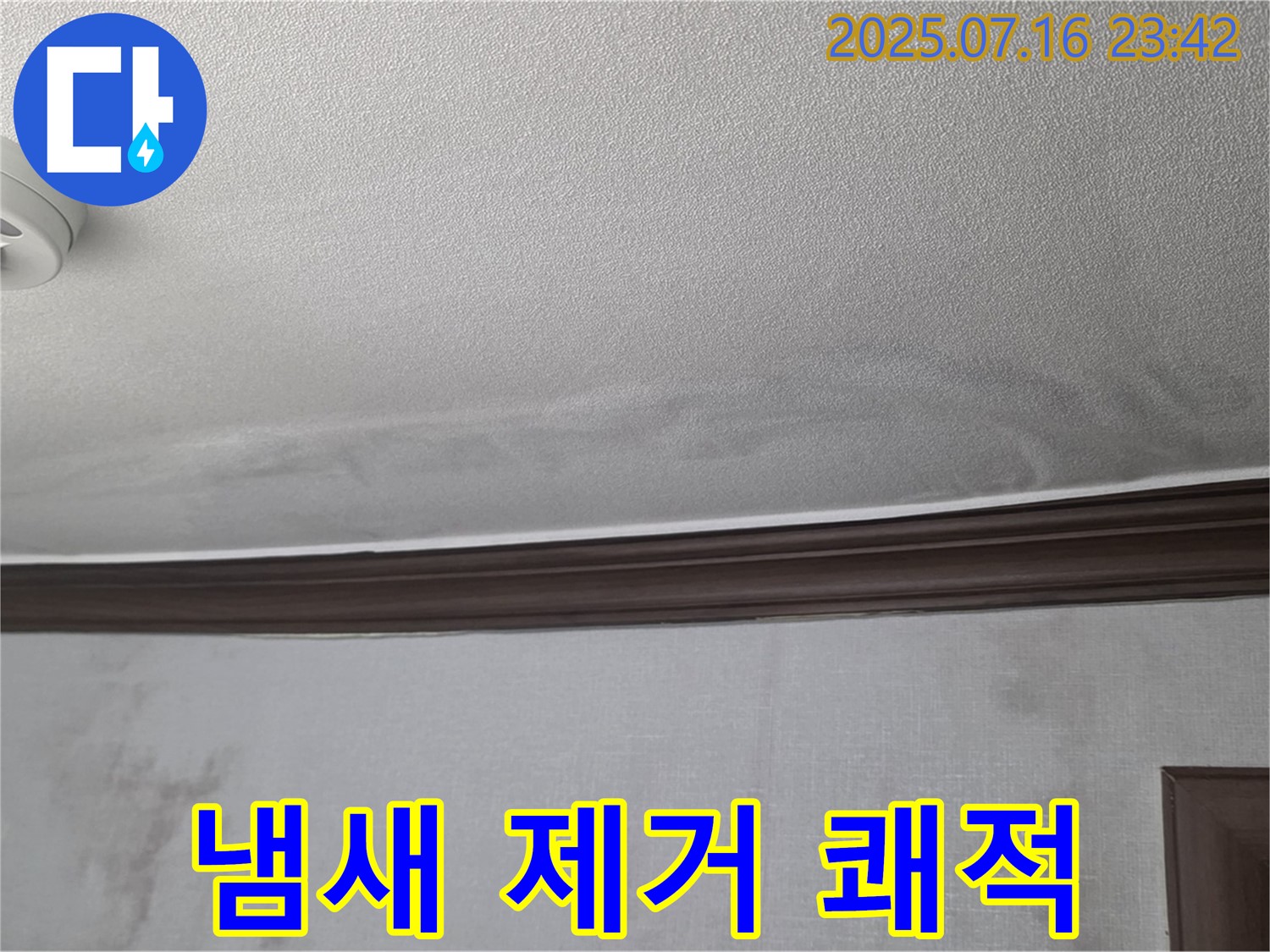 미아동 누수 현장 - 천장 누수 흔적과 곰팡이 냄새 완벽 제거 후 쾌적한 공간으로 변신
