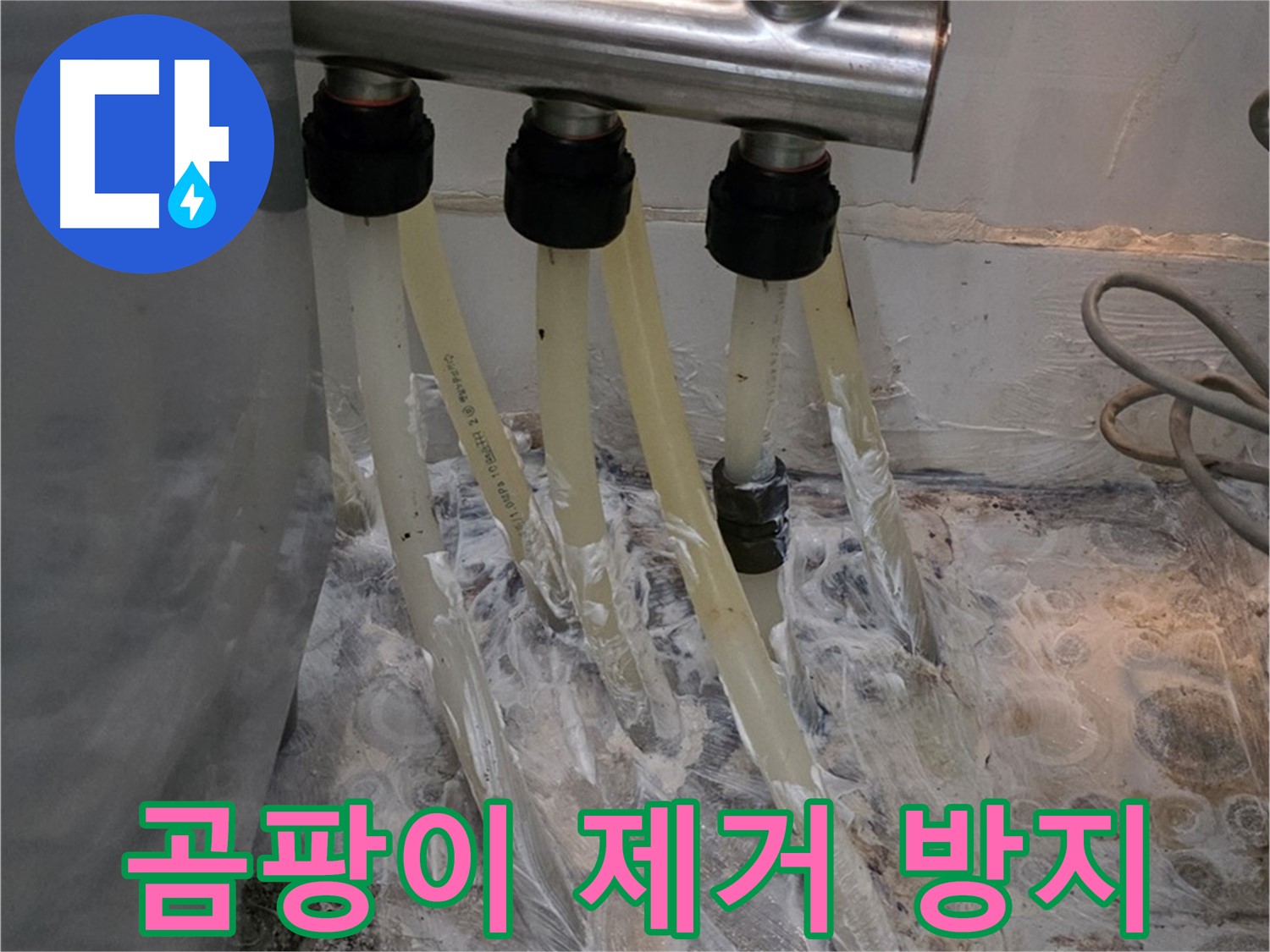 분배기 주변 곰팡이 발생 - 곰팡이 제거 및 방지 시공으로 깨끗하게!