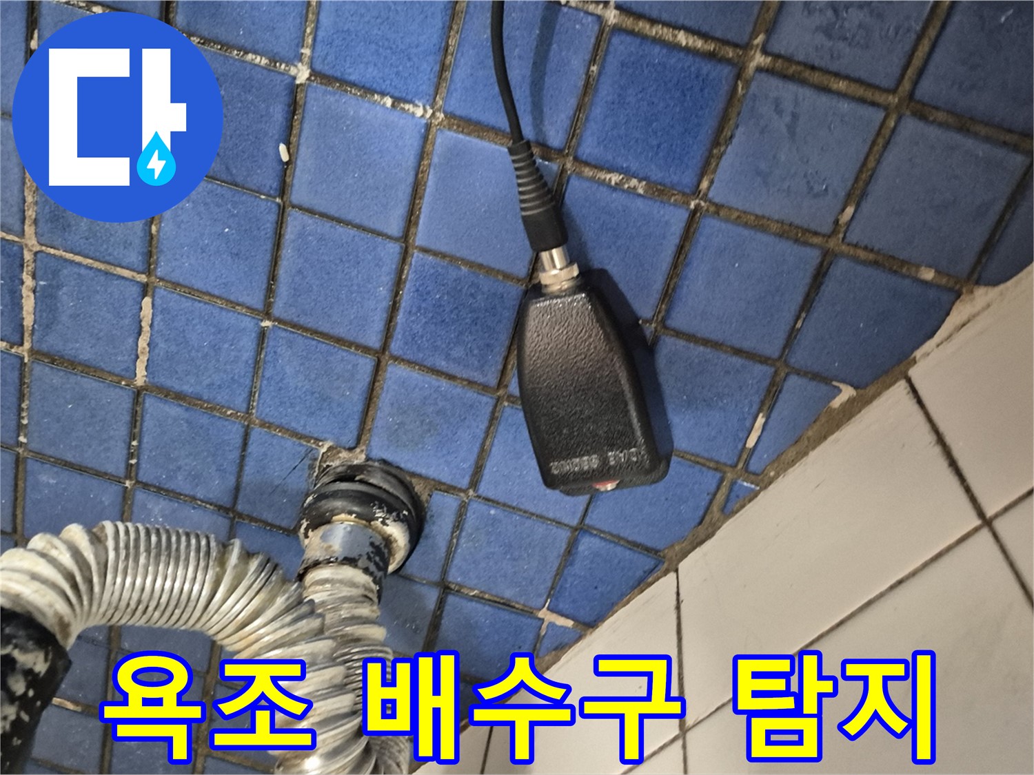 마포구 합정동 현대빌라 누수 - 욕조 배수구 주변 정밀 탐지 작업 진행 중