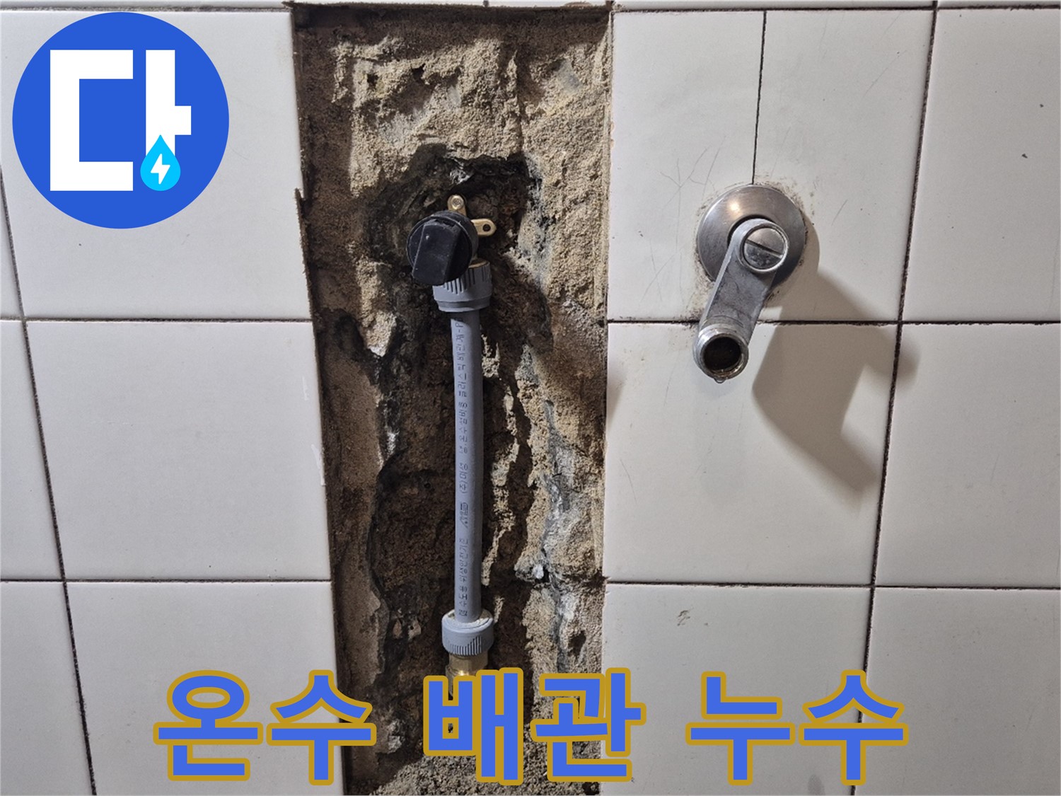 합정동 현대빌라 샤워 수전 온수 배관 누수 - 꼼꼼한 누수 탐지 및 보수