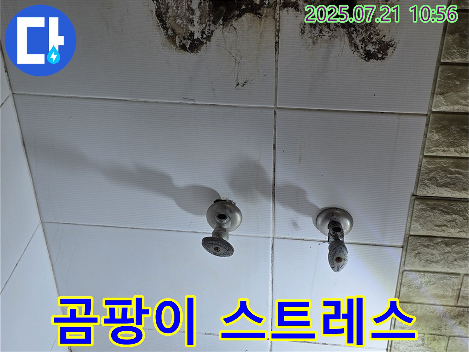 노원구 상계동 욕실 누수 - 곰팡이와 악취, 스트레스 OUT! 쾌적한 욕실을 선물합니다.