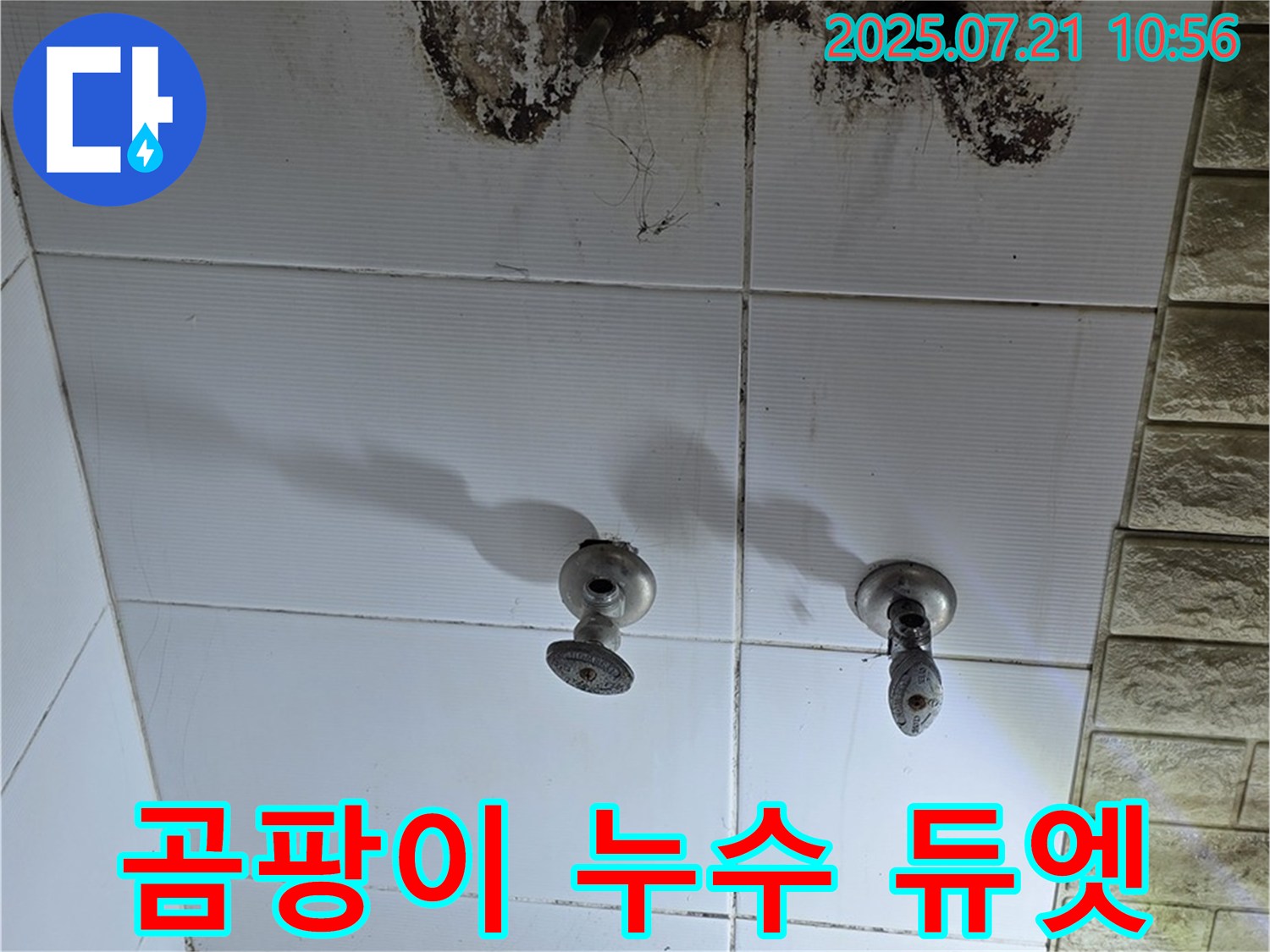 상계동 빌라형 욕실 누수 - 곰팡이와 누수, 듀엣으로 해결해 드립니다 - 완벽한 팀워크를 경험하세요!