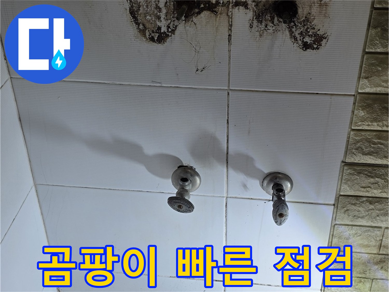 상계동 욕실 곰팡이 방치 금지 - 빠른 점검과 해결로 건강하고 쾌적한 욕실을 만드세요.