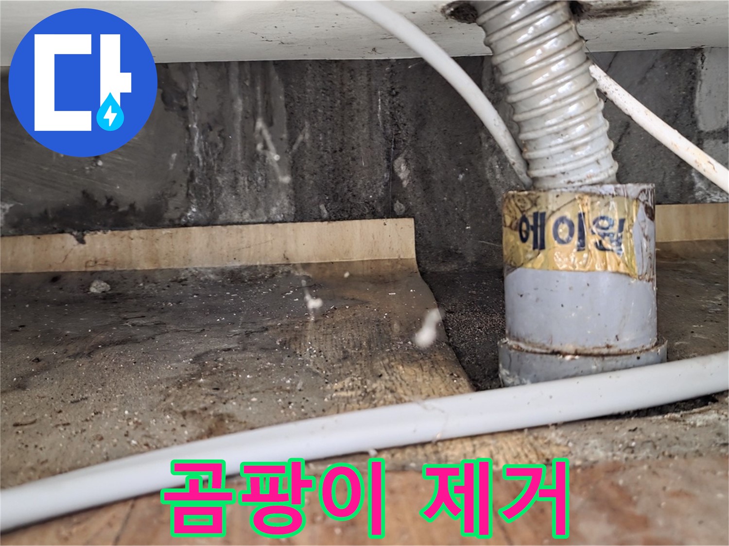 남양주 진건읍 사릉리 누수 공사 후 곰팡이 제거 작업 - 꼼꼼한 시공으로 재발을 방지하는 누수탐지 전문 업체입니다.