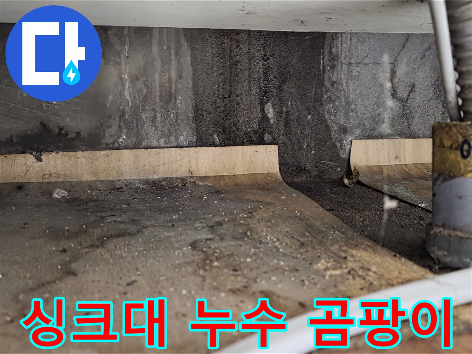 싱크대 누수 - 곰팡이 발생 위험