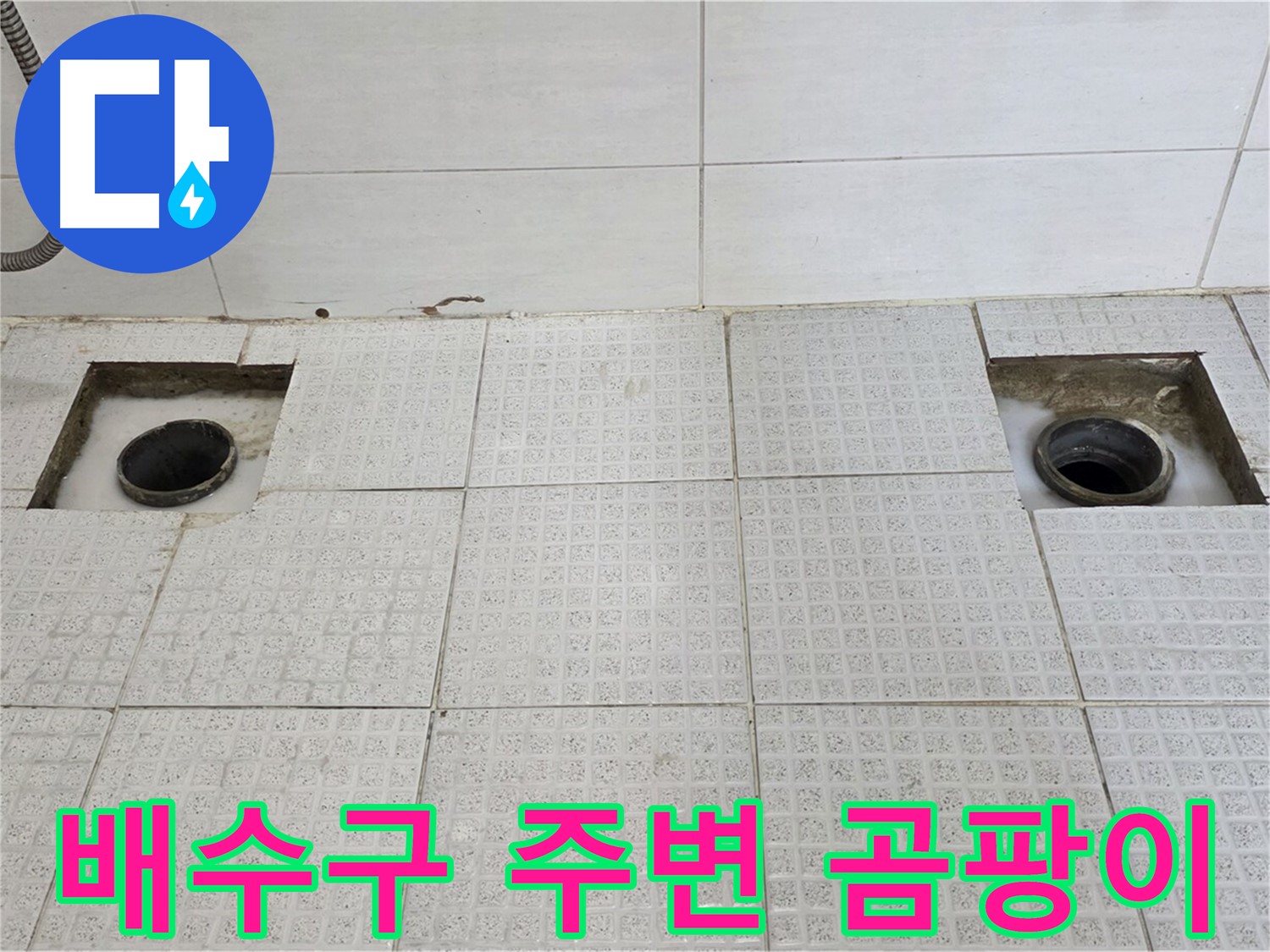 과천 래미안슈르 욕실 - 배수구 주변 곰팡이 발견 - 누수가 꽤 오래된 것 같습니다.