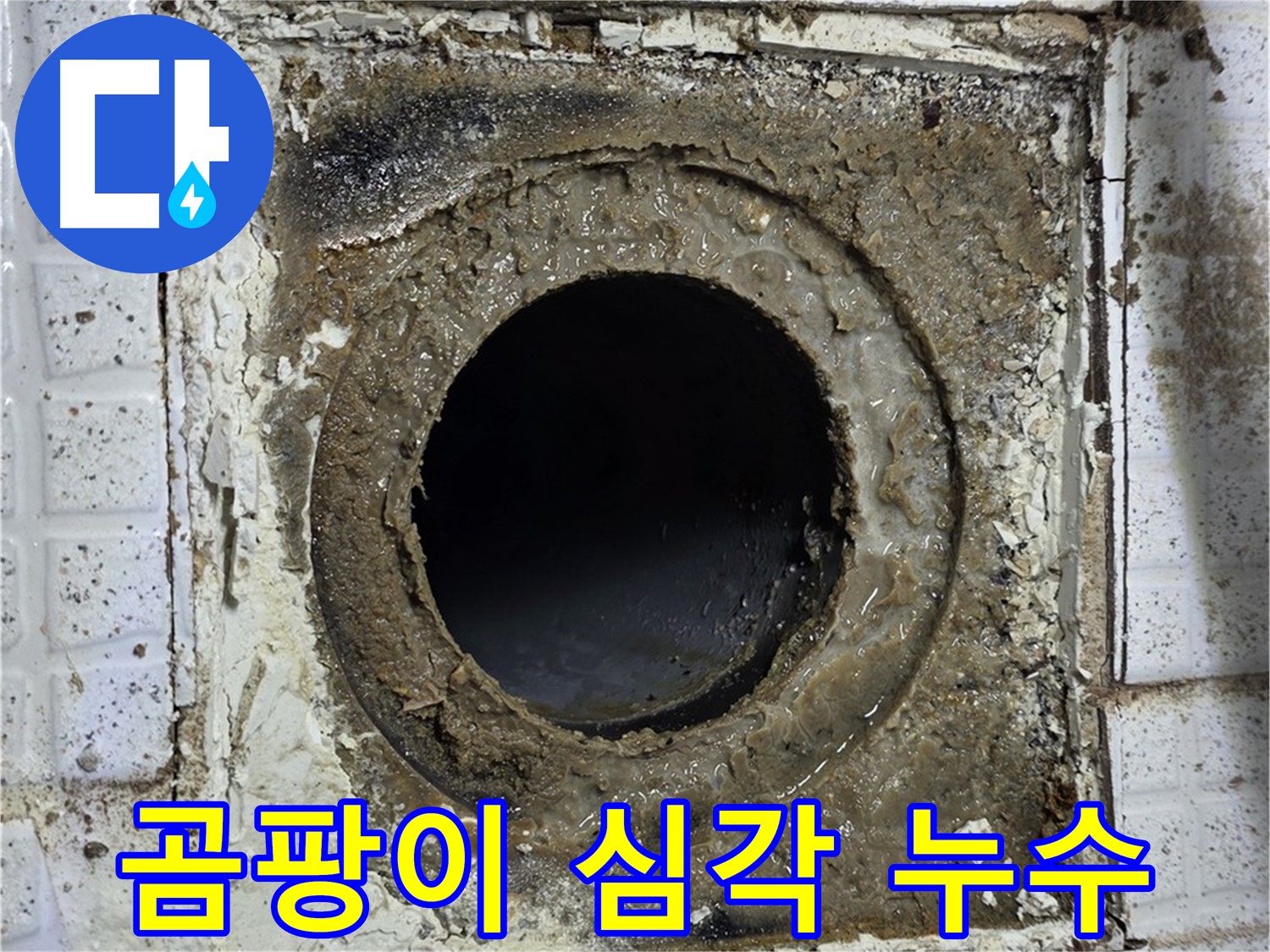 과천시 문원동 욕실 유가 주변 곰팡이 심각 - 지속적인 습기로 인한 누수 의심