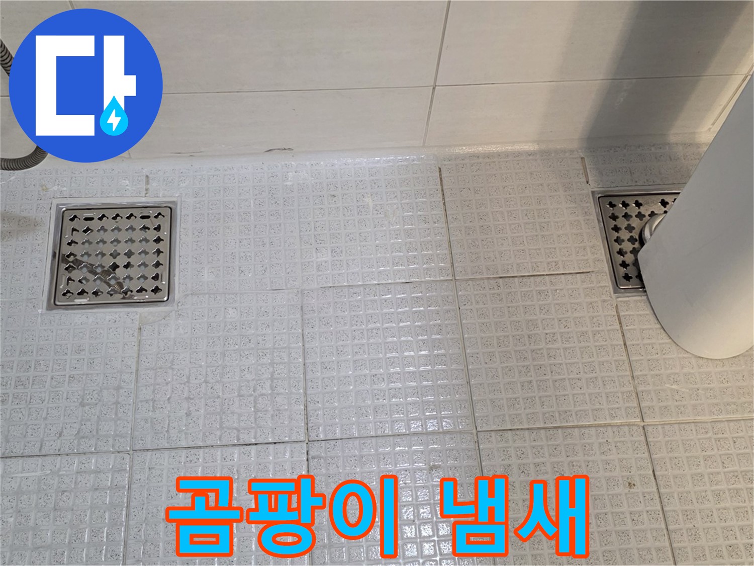 문원동 욕실 - 배수구 주변 타일 곰팡이와 냄새, 누수를 의심해야 합니다