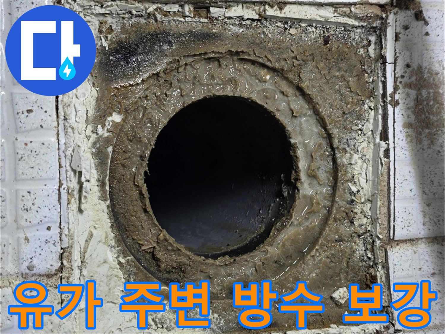 물이 고인 유가 - 방수층 문제로 인한 지속적인 물 유입