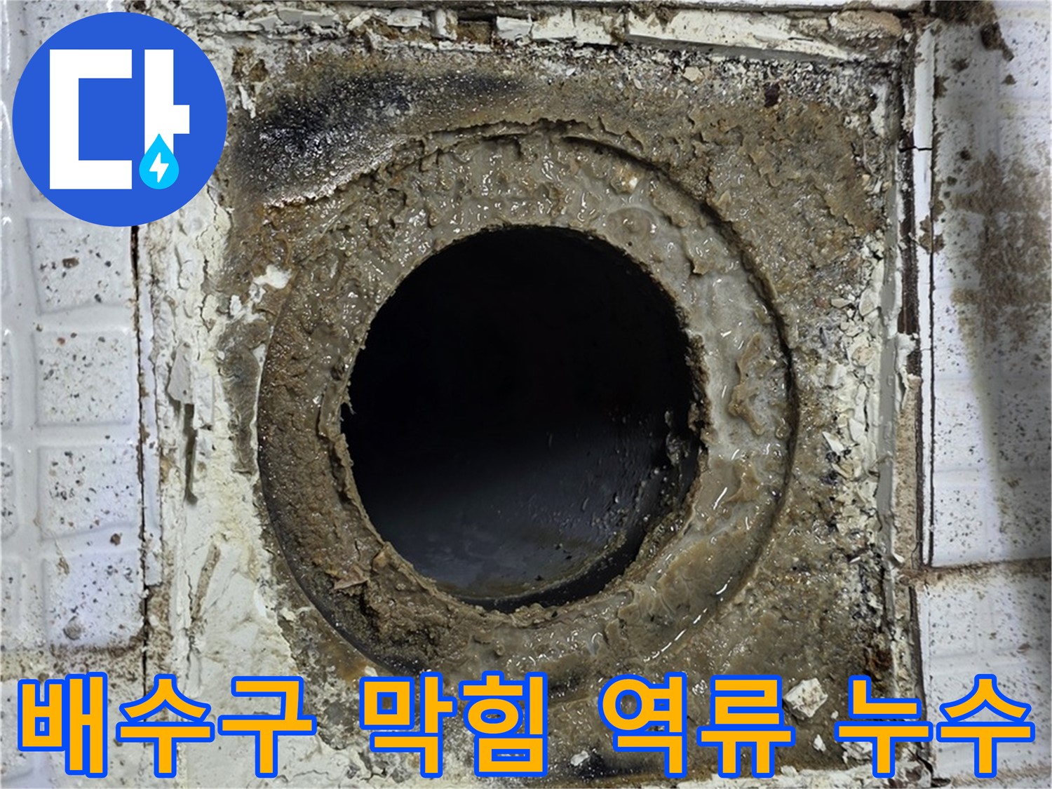 세인트빌 욕실 유가 배수구 막힘 - 역류로 인한 아랫집 누수 가능성