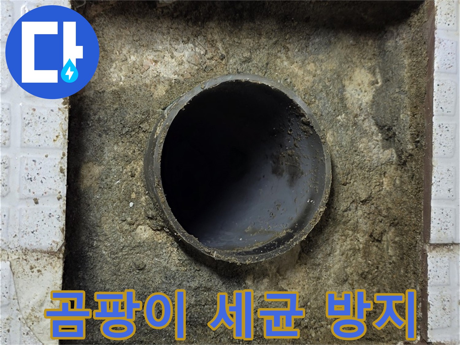 누수 후 곰팡이 및 세균 방지를 위한 청소