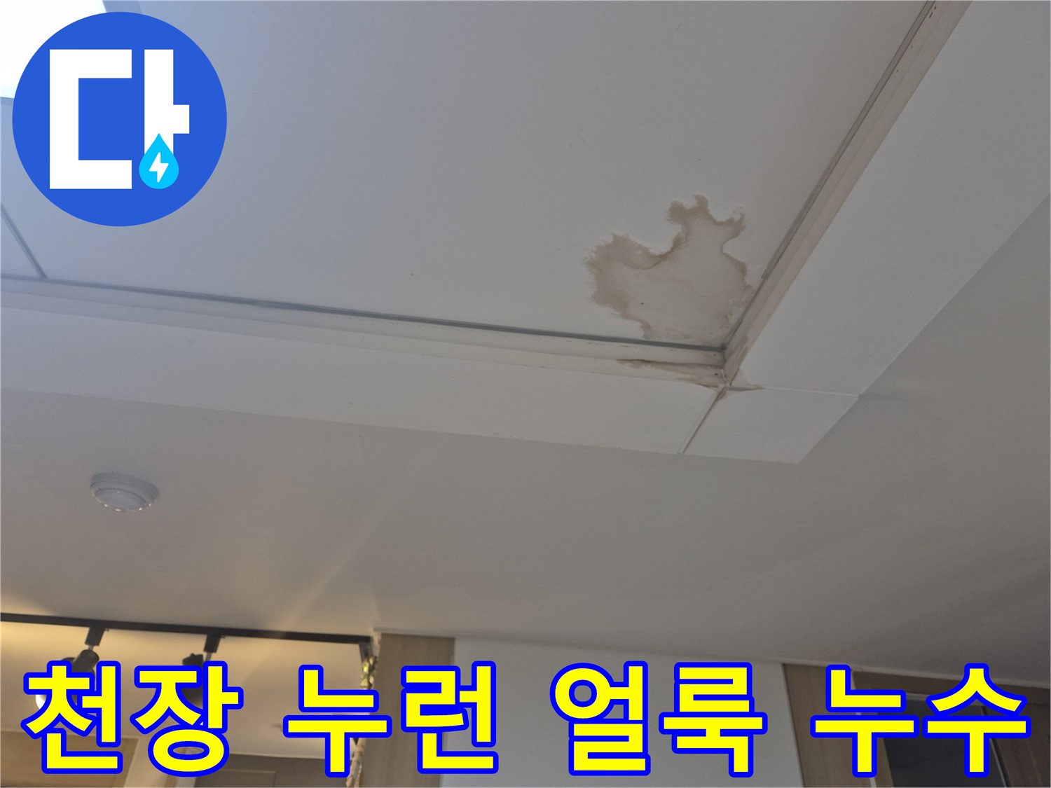 가좌2동 천장 누수 - 누런 얼룩 - 누수 가능성 확인 필요