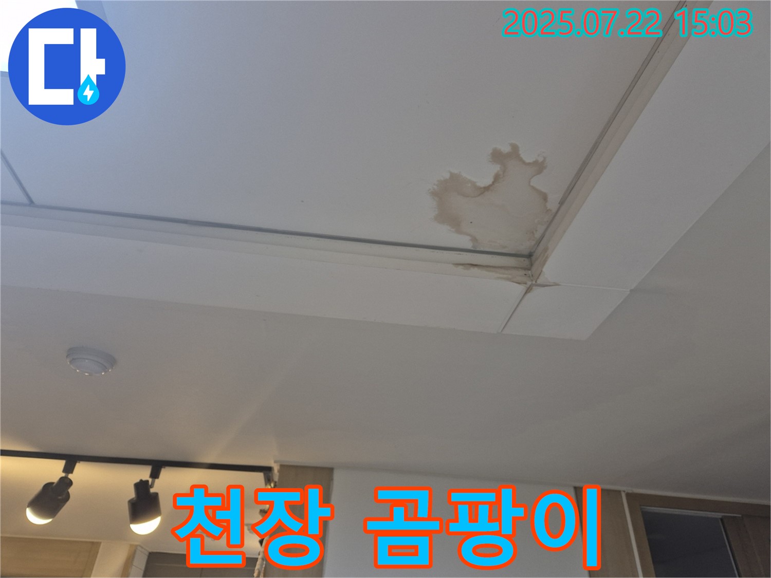 일산 가좌동 누수 - 곰팡이 핀 천장, 건강까지 위협