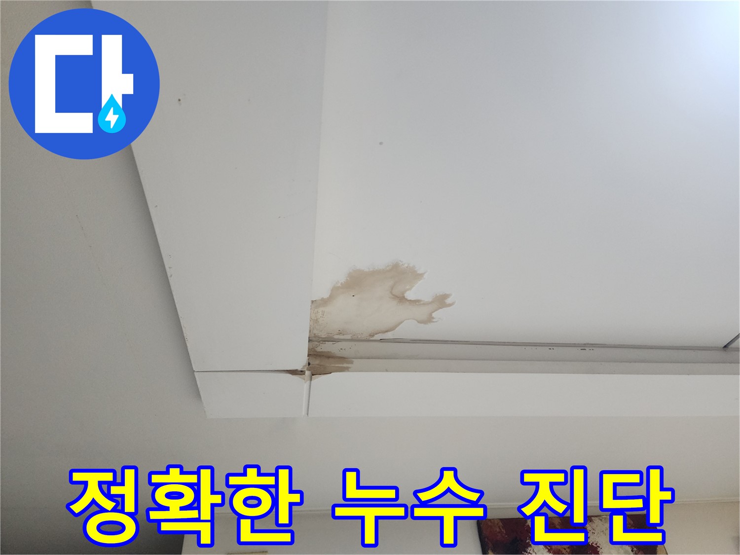 정확한 누수 진단 - 일산 가좌동 천장 누수 현장에서 누수탐지 전문가가 정확한 진단을 내리고 있습니다. 원인 파악이 중요합니다.