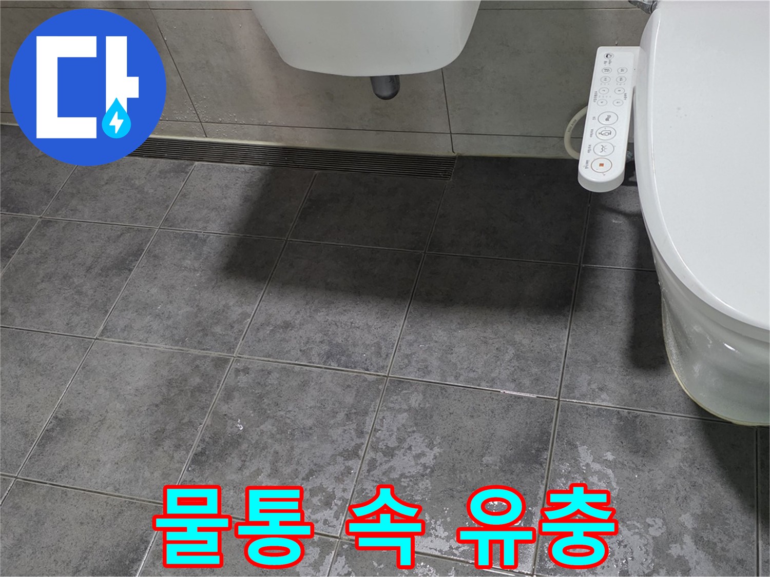노원구 누수 - 변기 물탱크 벌레 유충 - 비위생적 - 혐오