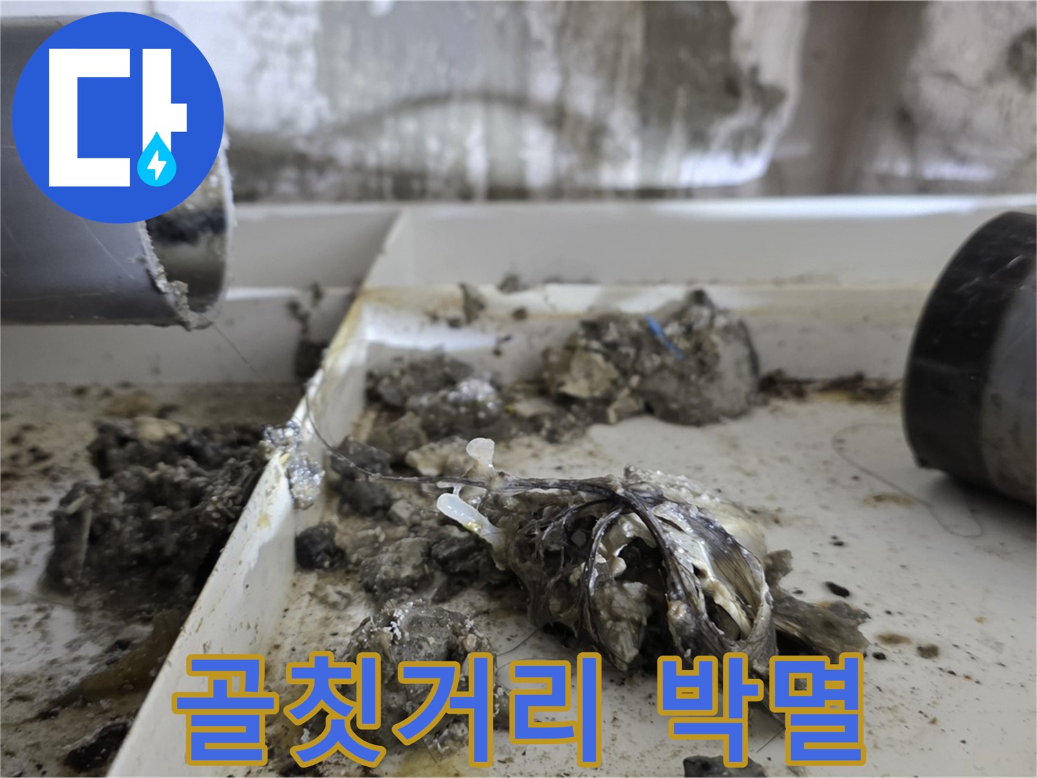 노원구 중계동 라이프청구신동아아파트 - 배관 속 '골칫거리' 박멸, 누수 완전 정복