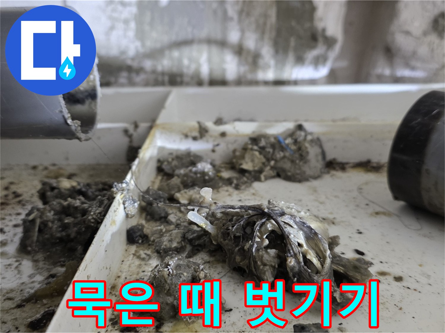노원구 중계동 라이프청구신동아아파트 - 배관 청소, 묵은 때 벗기기 대작전!
