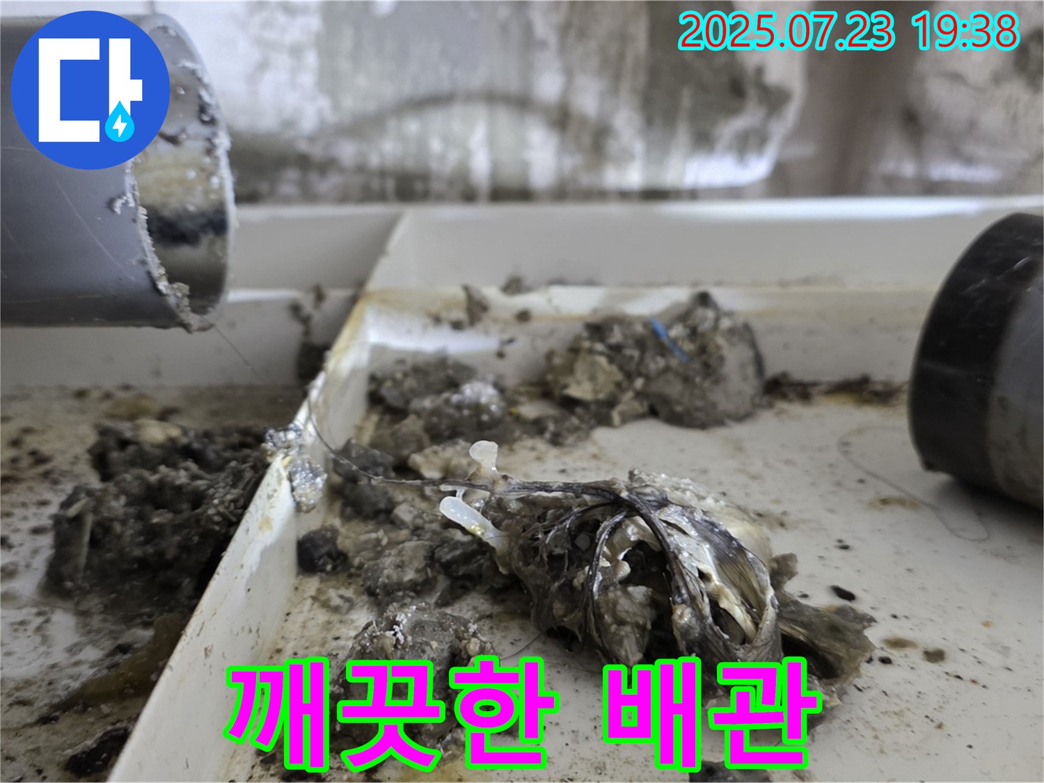 중계동 라이프청구신동아 아파트 - 배수관 막힘 해결 후 깨끗해진 배관, 이제 안심하고 사용하세요