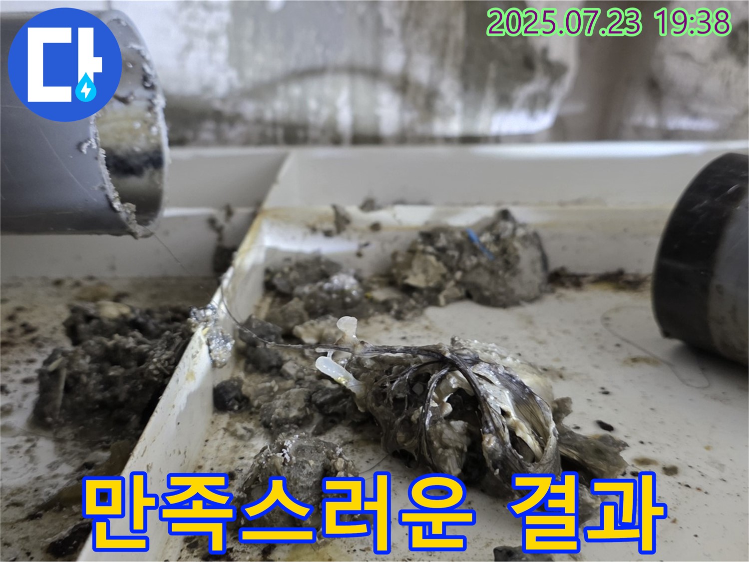 중계동 라이프청구신동아 아파트 - 배수구 막힘 해결, 고객 만족