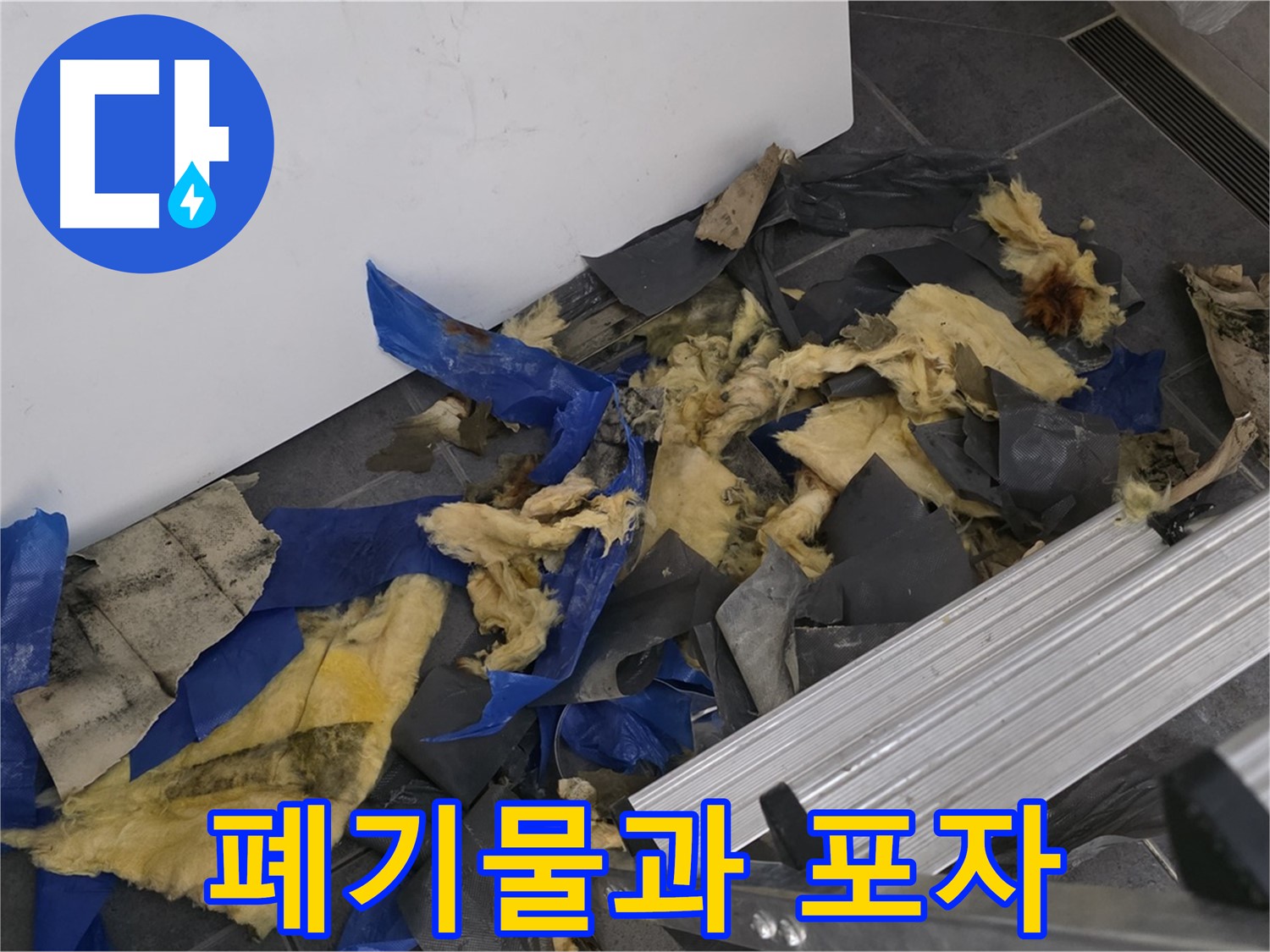 중계동 라이프청구신동아 아파트 - 젖은 폐기물과 곰팡이 포자 - 건강 위협