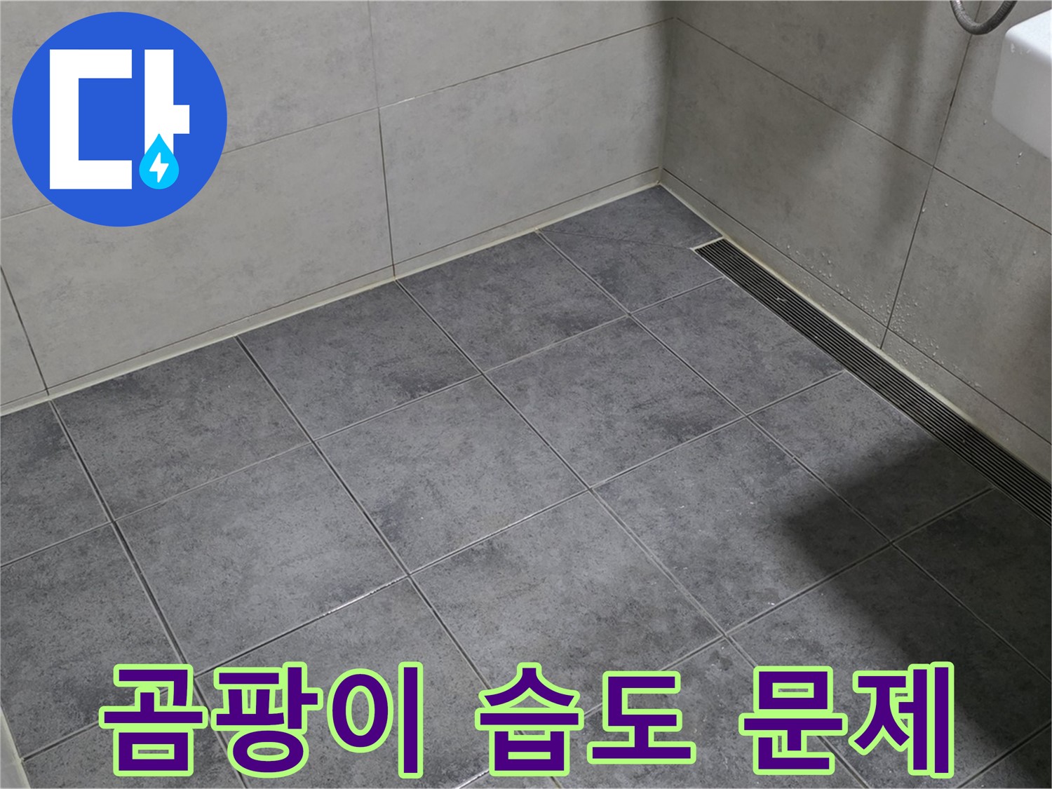 중계동 라이프청구신동아 욕실 누수 - 곰팡이 발생, 환기 불량 및 습도 문제