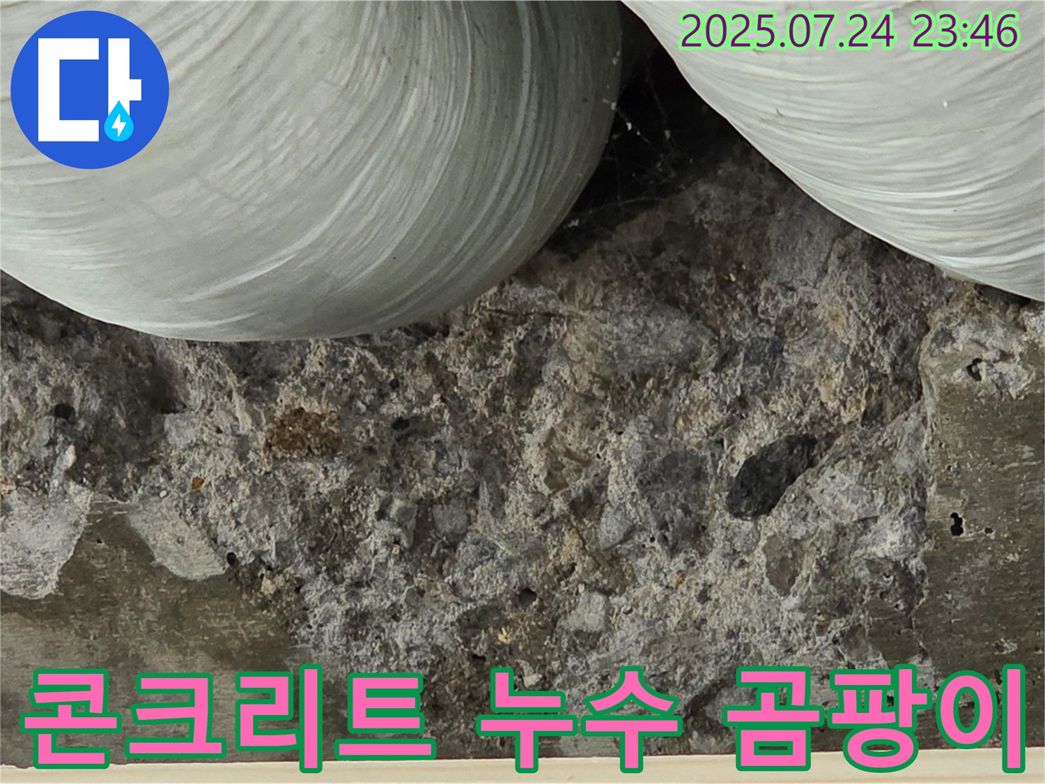 콘크리트 표면의 곰팡이 - 누수로 인해 콘크리트 표면에 곰팡이가 핀 모습입니다.