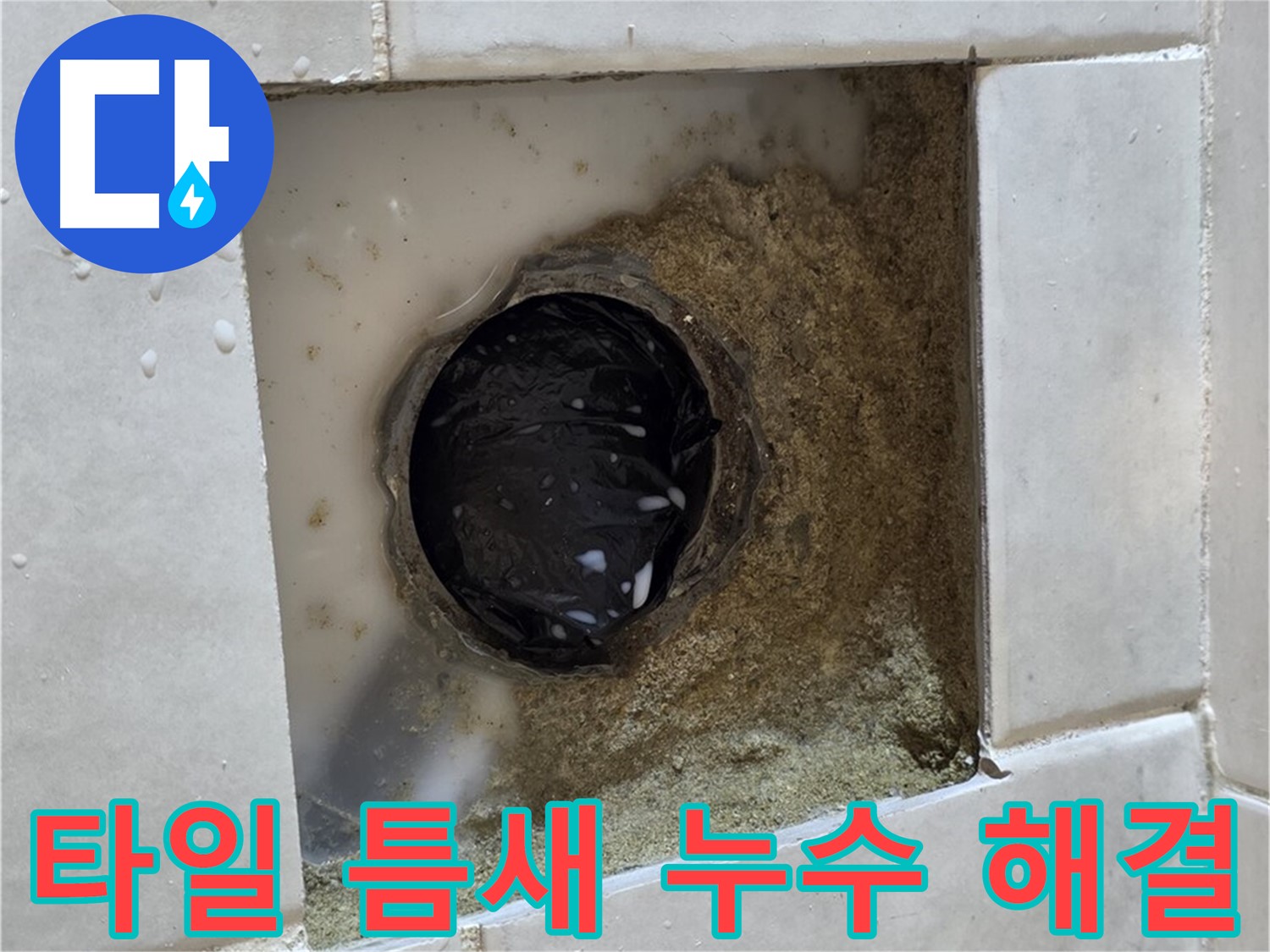 과천 문원동 욕실 배수구 주변 타일 틈새 누수 - 틈새의 물기, 꼼꼼한 점검과 완벽한 해결
