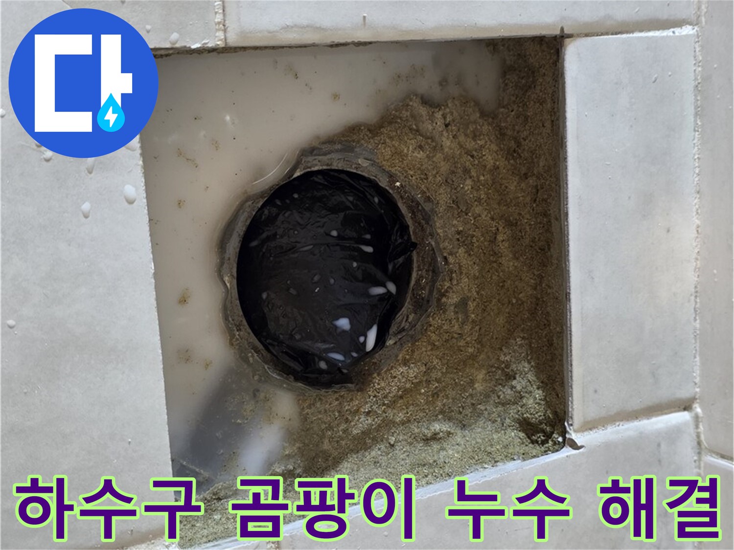 과천 문원동 욕실 하수구 주변 곰팡이 누수 - 곰팡이 핀 하수구, 완벽한 방수로 곰팡이 걱정 끝