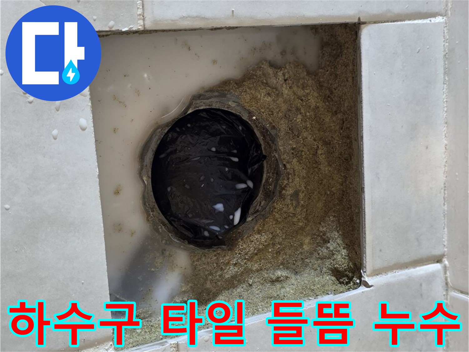 과천 문원동 욕실 하수구 주변 타일 들뜸 누수 - 노후된 하수구와 들뜬 타일, 정밀 누수 탐지와 보수